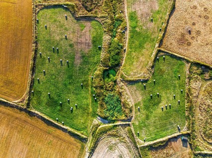 Top Down view over Cornwall fields and farms from a drone, Lizard Peninsula, South West Coast Path,