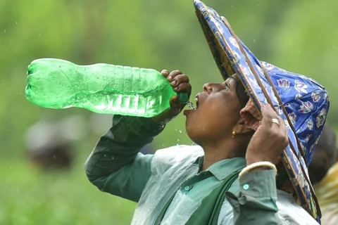 Agartala, Tripura, India, 17-07-2025: A tea garden worker drinks water while she working in a tea