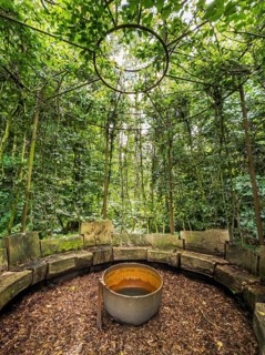 Benches in a cottage garden, esotericism, forest, Sutthausen, Osnabrück, Lower Saxony, Germany