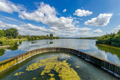 Lippesee near Sande, Paderborn, North Rhine-Westphalia, Germany