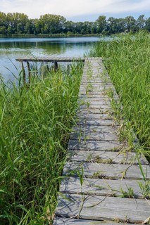 Wooden jetty at the Gantikow bathing lake, Kyritz, Brandenburg, Germany