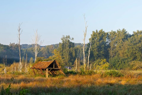 Dilapidated wooden hut in the moor, wet meadow, dead trees, Pfrunger-Burgweiler Ried,