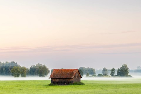 Wooden hut in wet meadow, fog, birch, birch family (Betulaceae), Wilhelmsdorf, Pfrunger-Burgweiler