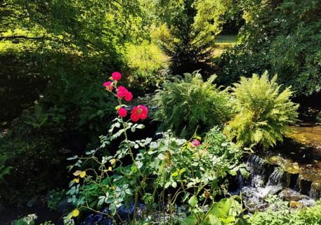 Rose Island in Bergpark Wilhelmshöhe, UNESCO World Heritage Site, Kassel, Hesse, Germany