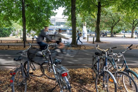 Cycle traffic in Münster, Promenade cycle path, tree-lined, car-free, approximately 4.5 km long