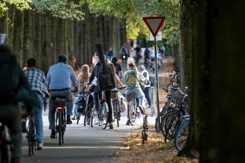 Cycle traffic in Münster, Promenade cycle path, tree-lined, car-free, approximately 4.5 km long