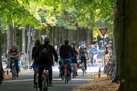 Cycle traffic in Münster, Promenade cycle path, tree-lined, car-free, approximately 4.5 km long