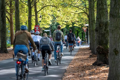 Cycle traffic in Münster, Promenade cycle path, tree-lined, car-free, approximately 4.5 km long