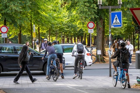 Cycle traffic in Münster, Promenade cycle path, tree-lined, car-free, approximately 4.5 km long