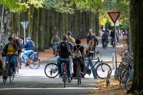 Cycle traffic in Münster, Promenade cycle path, tree-lined, car-free, approximately 4.5 km long