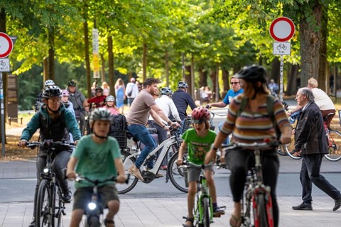 Cycle traffic in Münster, Promenade cycle path, tree-lined, car-free, approximately 4.5 km long