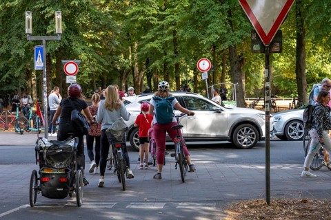 Cycle traffic in Münster, Promenade cycle path, tree-lined, car-free, approximately 4.5 km long