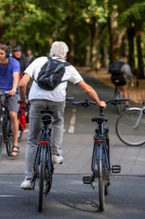 Cycle traffic in Münster, two-wheeler, Promenade cycle path, tree-lined, car-free, approximately 4
