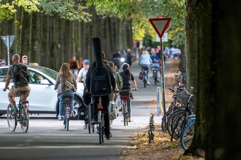 Cycle traffic in Münster, Promenade cycle path, tree-lined, car-free, approximately 4.5 km long