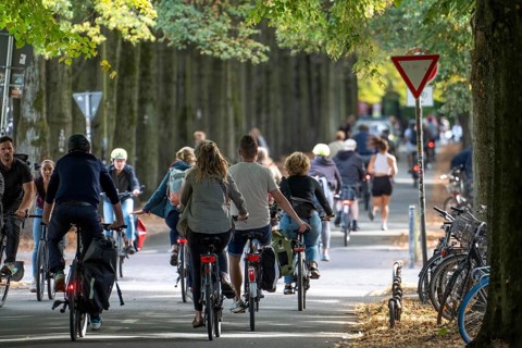 Cycle traffic in Münster, Promenade cycle path, tree-lined, car-free, approximately 4.5 km long