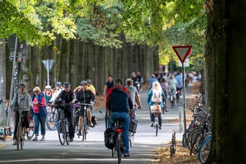 Cycle traffic in Münster, Promenade cycle path, tree-lined, car-free, approximately 4.5 km long