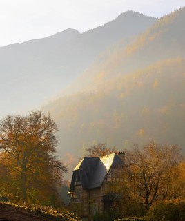 Beautiful Autumn Forest and an Old House and Mountain in the Swiss Alps and Sky with Sunlight in a