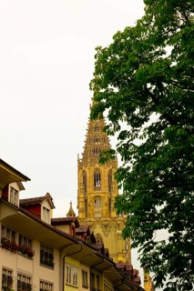 Beautiful Münster Cathedral of St Vincent with Tower and Tree Branch and Sky in City of Bern,
