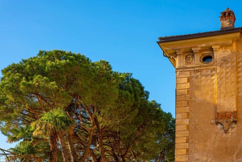 Old Beautiful Building and Tree Branch on a Sunny Day with Blue Clear Sky in Morcote, Ticino,