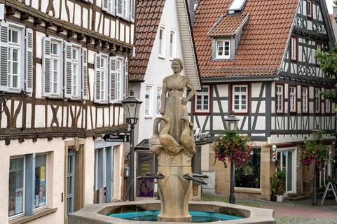 The goose fountain on the market square in Backnang, Rems-Murr district, Baden-Württemberg, Germany