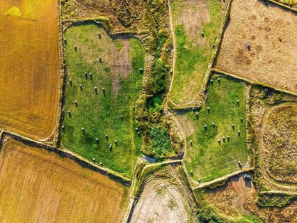 Top Down view over Cornwall fields and farms from a drone, Lizard Peninsula, South West Coast Path,