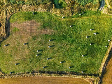 Top Down view over Cornwall fields and farms from a drone, Lizard Peninsula, South West Coast Path,