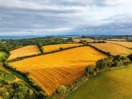 Colors of Fields and Farms over Torquay from drone, Torbay, Devon, England, United Kingdom