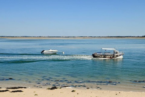 Boats off the Pen-Bron peninsula in the Gulf of Le Grand-Traict, Le Croisic, Loire-Atlantique, Pays