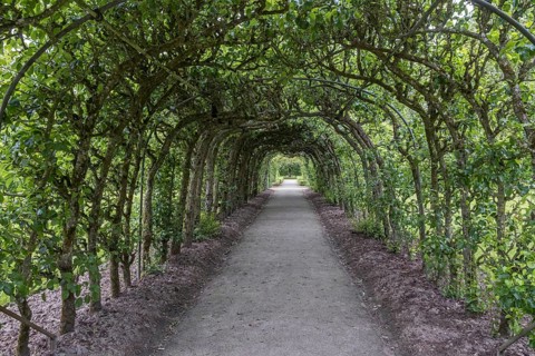 Pergola in the garden of the Menkemaborg in Uithuizen, province of Groningen, Netherlands
