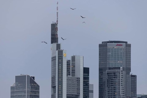 Birds flying over the bank towers of the Frankfurt skyline, Frankfurt am Main, Hesse, Germany