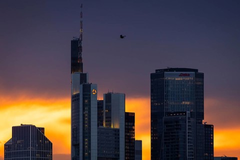 Birds flying over the bank towers of the Frankfurt skyline at sunset, Frankfurt am Main, Hesse,