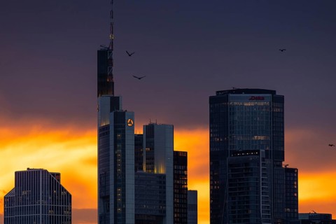 Birds flying over the bank towers of the Frankfurt skyline at sunset, Frankfurt am Main, Hesse,