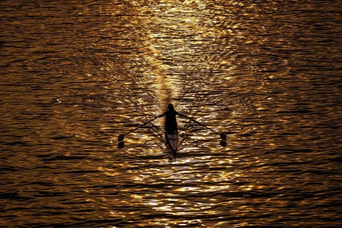 A rower rowing along the Main at sunset in Frankfurt, Frankfurt am Main, Hesse, Germany