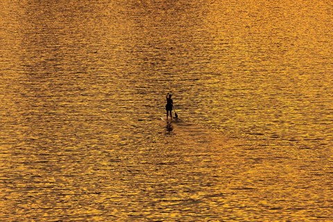 A paddler paddles along the Main at sunset in Frankfurt, Frankfurt am Main, Hesse, Germany