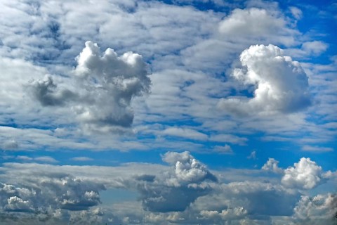 Several types of cumulus white clouds, darker cumulus clouds at the bottom edge of the picture