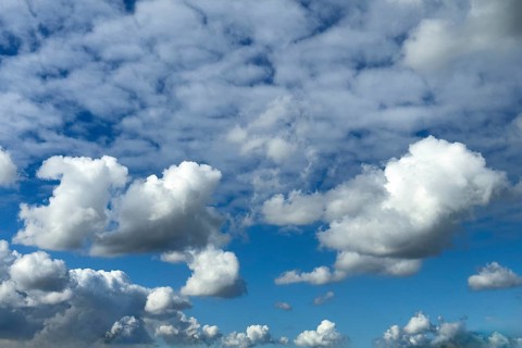 Several types of cumulus clouds white clouds, below and in the middle cumulus cluster clouds above