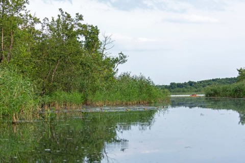 Canoe, Alte Fahrt canal and Caarpsee lake, Müritz National Park, Mecklenburg Lake District,