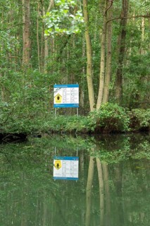 Entrance to the national park, information sign, trees, reflection, canal Alte Fahrt between Bolter