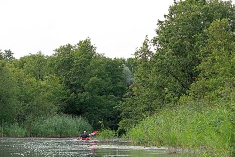 Canoe, trees, Alte Fahrt canal between Bolter Schleuse lock and Caarpsee lake, Müritz National