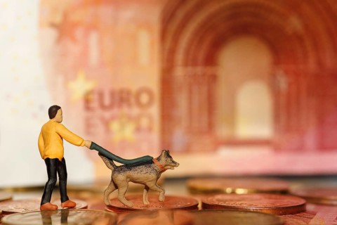 Miniature figure man with miniature shepherd dog on a lead, with coins and ten euro note North