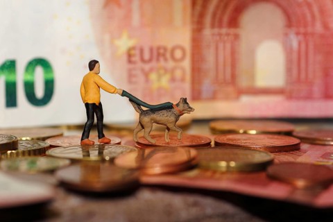 Miniature figure man with miniature shepherd dog on a lead, with coins and ten euro note North