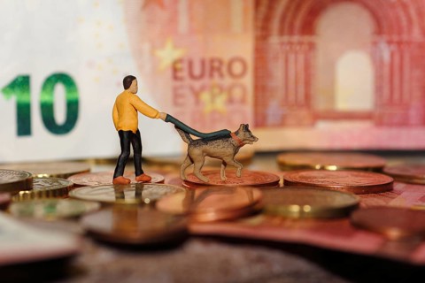 Miniature figure man with miniature shepherd dog on a lead, with coins and ten euro note North