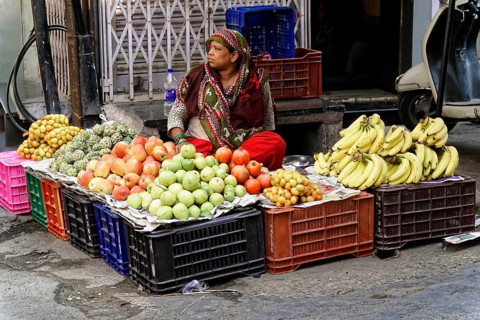 Udaipur, Rajasthan, North India, Asia, woman selling various fruits in plastic boxes at a market