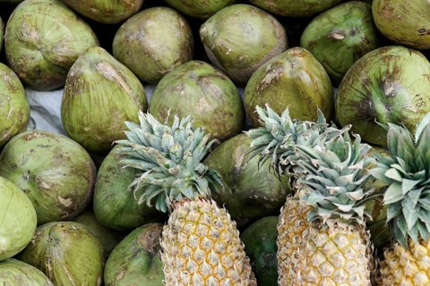 Kota, Rajasthan, North India, Asia, Green, unripe coconuts and several pineapples with green