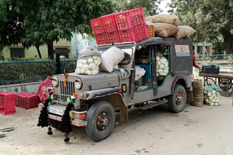 Sawai Madhopur, Kota, Rajasthan, North India, Asia, A fully loaded lorry with cauliflowers and