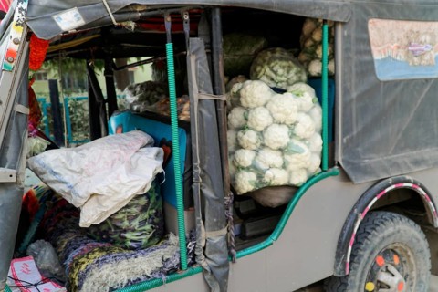 Sawai Madhopur, Kota, Rajasthan, North India, Asia, Open van full of cauliflower heads and other