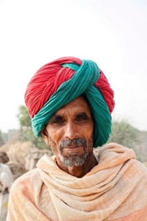 Ranthambhore Tiger Reserve, Sawai Madhopur, Kota, Rajasthan, North India, Asia, An elderly man with