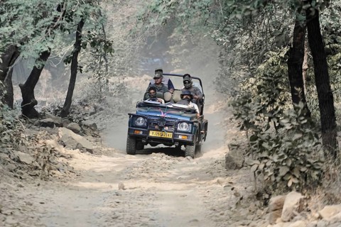Ranthambhore Tiger Reserve, Sawai Madhopur, Kota, Rajasthan, North India, Asia, Jeep with drivers