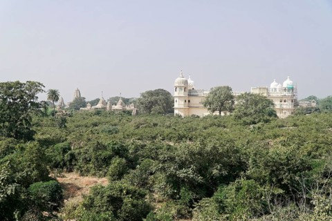 Kota, Rajasthan, North India, Asia, Indian landscape with lush greenery and historical buildings in