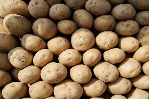 Kota, Rajasthan, North India, Asia, Pile of fresh brown potatoes on a market stall, India